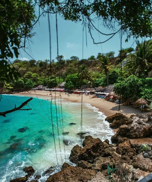 playa carrizalillo una de las mejores playas de oaxaca