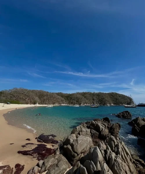playa escondida en oaxaca playa del organo